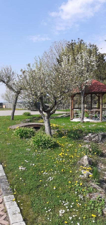 B&B Talstation Horselberg-Hainich 外观 照片